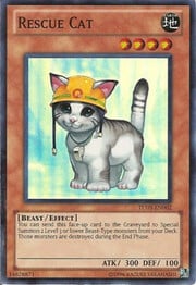 Rescue Cat · Super Rare 002