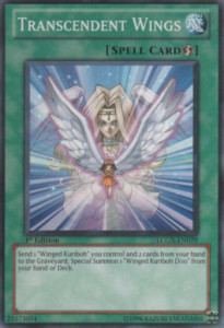 Transcendent Wings Card Front