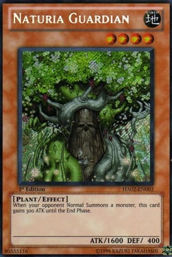 Naturia Guardiano Card Front