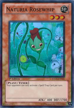 Naturia Rosewhip Card Front