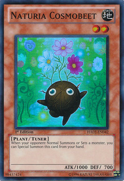 Naturia Cosmobeet Card Front