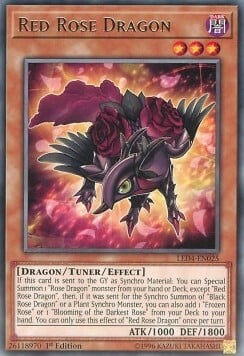 Red Rose Dragon Card Front