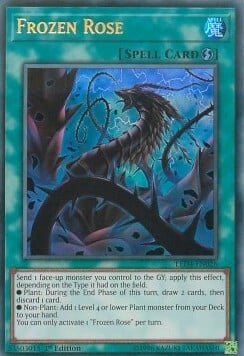 Rosa Ghiacciata Card Front