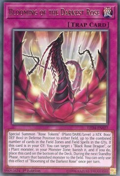 Blooming of the Darkest Rose Card Front