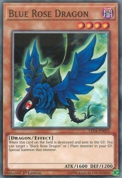 Drago Rosa Blu Card Front