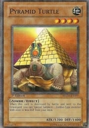 Tartaruga Piramide