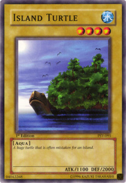 Island Turtle Card Front