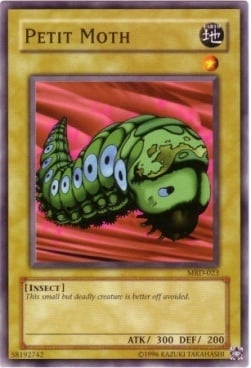 Petit Moth Card Front