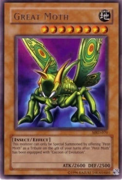 Great Moth Card Front