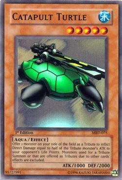 Tartaruga Catapulta Card Front
