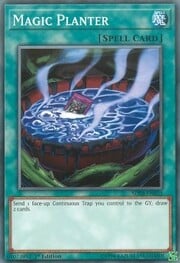 Magic Planter · Common 031