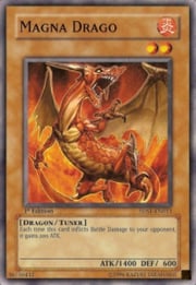 Magna Drago · Common 013