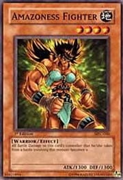 Amazoness Fighter · Common 060