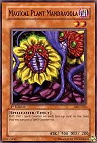 Magical Plant Mandragola Card Front