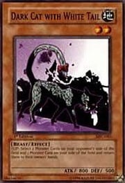 Dark Cat with White Tail · Common 083