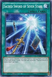 Sacred Sword of Seven Stars · Common 029