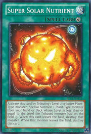 Super Solar Nutrient · Common 024