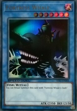 Fortress Whale Card Front