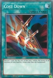 Cost Down · Common 012