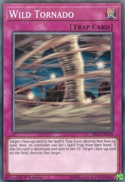 Wild Tornado Card Front