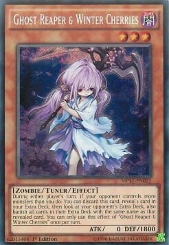 Ghost Reaper & Winter Cherries Card Front