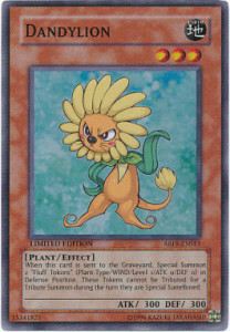 Dandylion Card Front