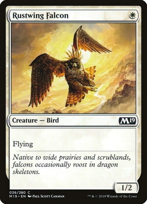 Rustwing Falcon Card Front
