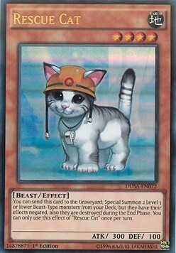 Rescue Cat Card Front