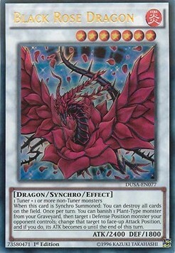 Black Rose Dragon Card Front