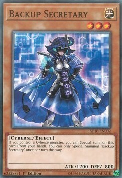 Backup Secretary Card Front