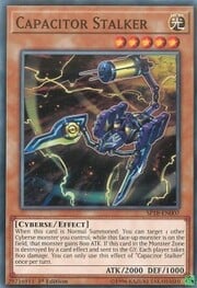 Capacitor Stalker · Common 007