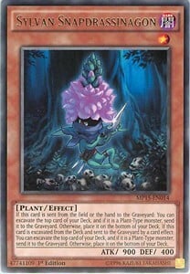 Scattodragassassino Silvano Card Front