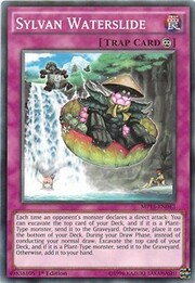 Sylvan Waterslide · Common 042