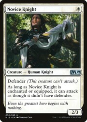 Novice Knight