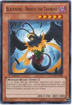 Blackwing - Brisote the Tailwind Card Front