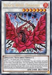 Dragón de la Rosa Negra