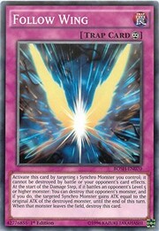 Follow Wing · Common 070