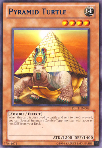 Pyramid Turtle Card Front