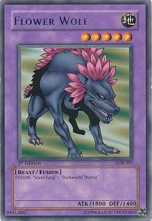 Flower Wolf Card Front