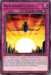 Blackbird Close · Rare 027