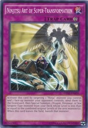 Ninjitsu Art of Super-Transformation · Common 026