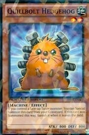 Quillbolt Hedgehog · Common 007
