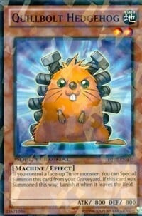 Quillbolt Hedgehog Card Front