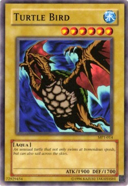 Uccello-Tartaruga Card Front