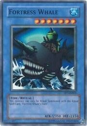Fortress Whale Card Front