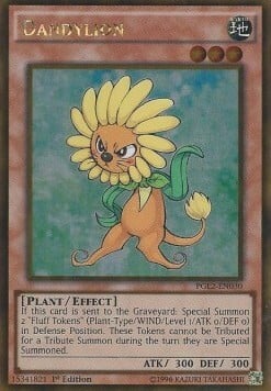 Dandylion Card Front