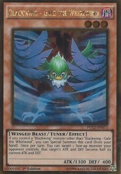 Blackwing - Gale the Whirlwind Card Front