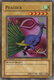 Peacock · Common 011