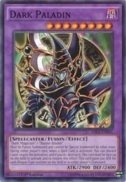 Dark Paladin · Common 041