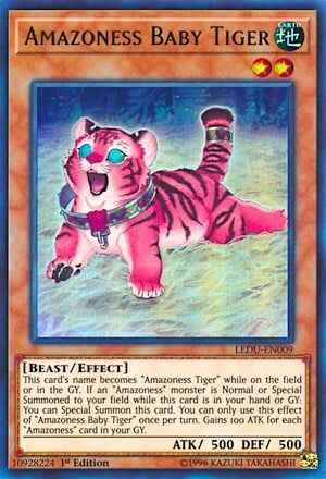 Cucciolo di Tigre Amazoness Card Front